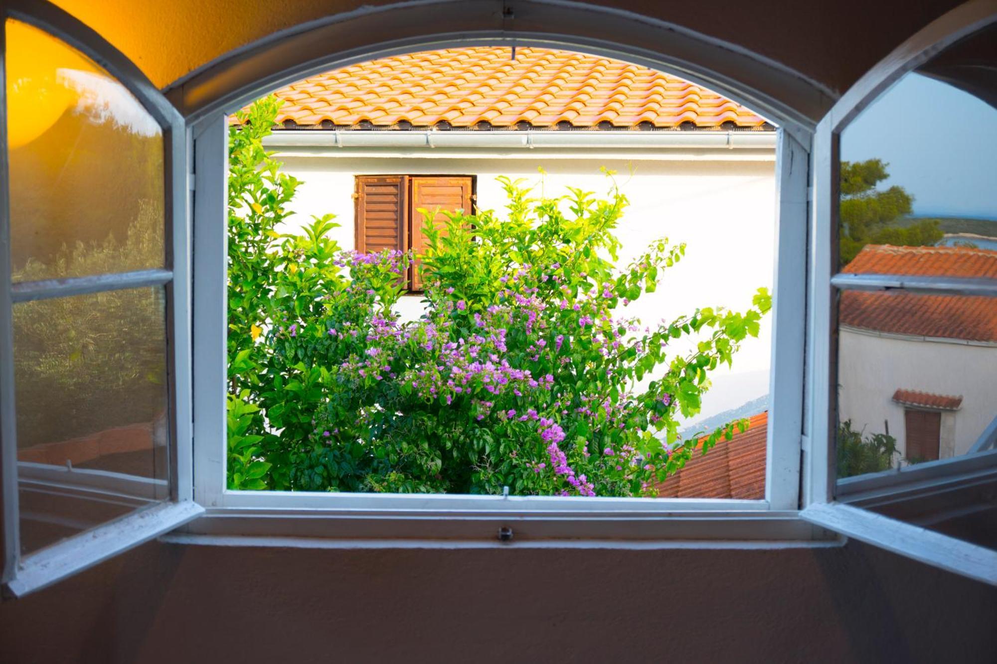 The Sea House Apartments Vis Room photo